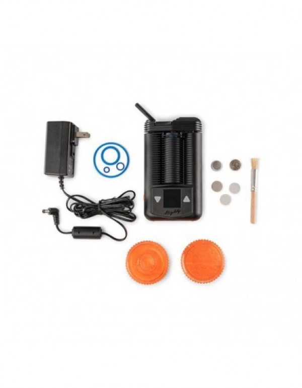 Storz & Bickel Mighty Dry Herb Vaporizer